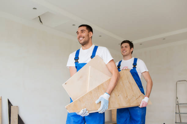 Best Furniture Removal  in Level Plains, AL
