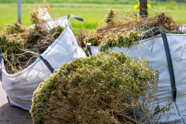 Trusted Level Plains, AL Junk Removal Services Experts