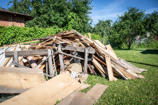 Best Carpet Removal and Disposal  in Level Plains, AL