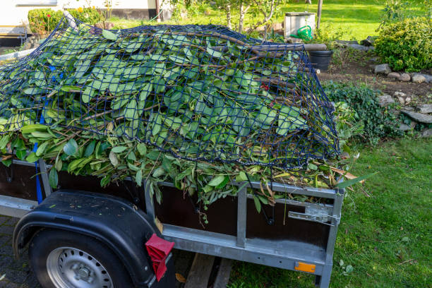 Best Dumpster Rental Services  in Level Plains, AL